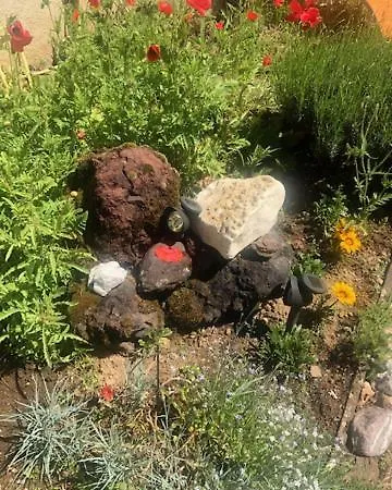 Sejour Auvergnat 住宿加早餐酒店 3*